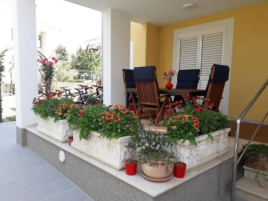 פורץ Ground Floor - Friendly Apartment In The Garden + Free Parking
